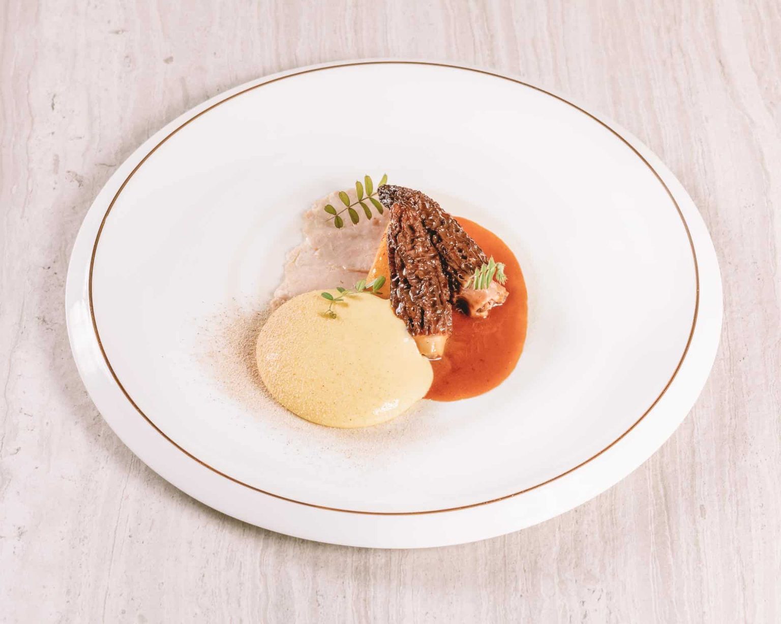 Michelin Star restaurant Loire Valley