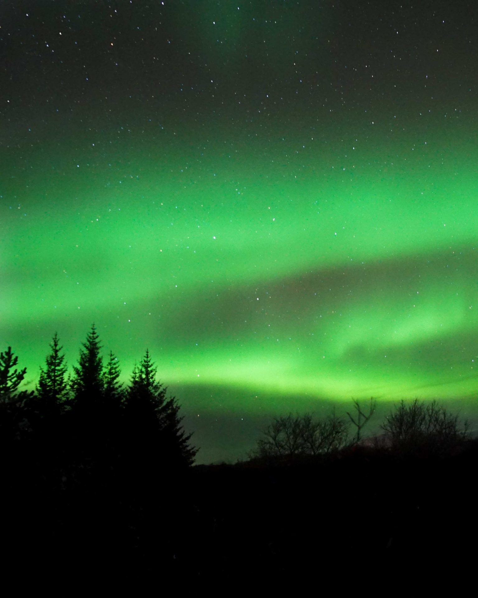 when to see the northern lights in iceland