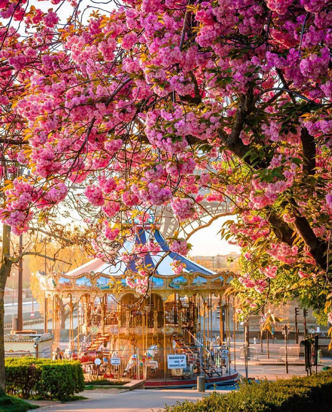 what to do in paris in the summertime