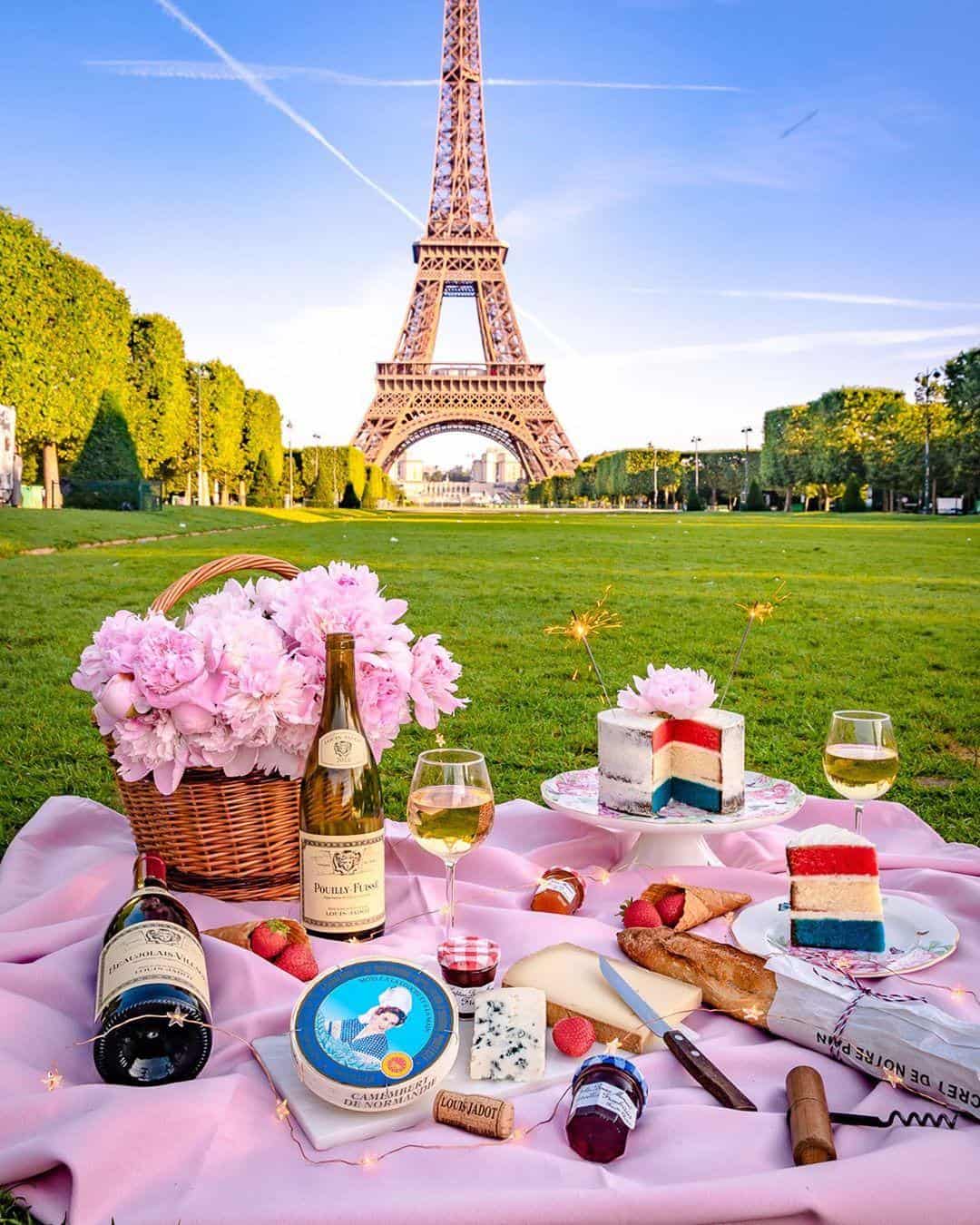 picnic in front of the eiffel tower