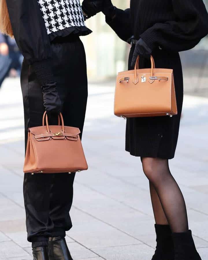 new hermes birkin steller bag