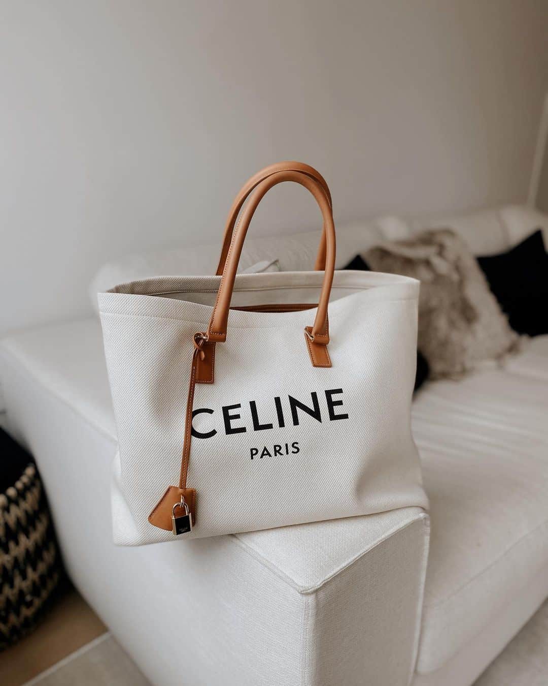 Celine Horizontal Cabas Tote Canvas with Leather styled