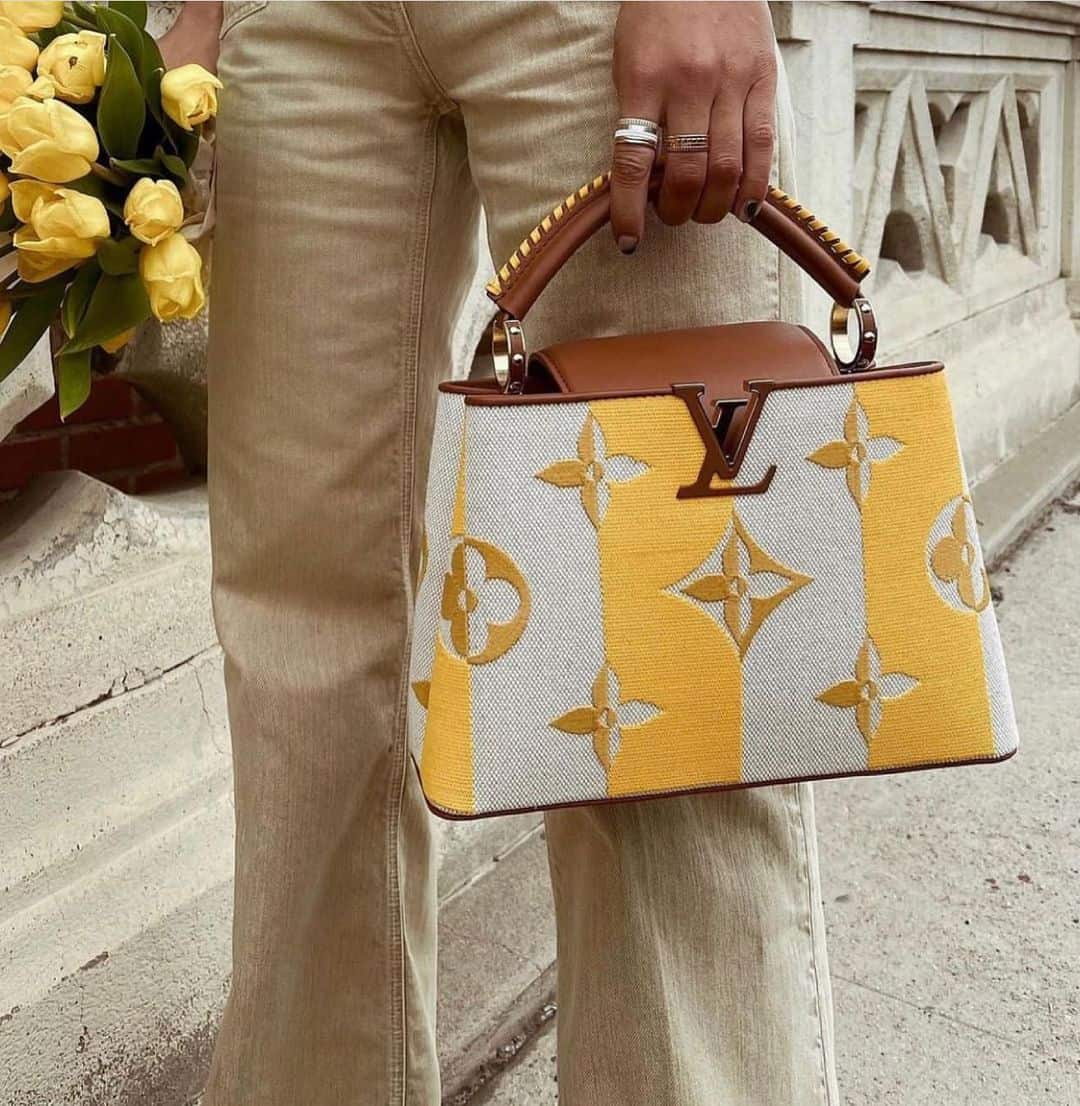 Louis Vuitton Capucines styled