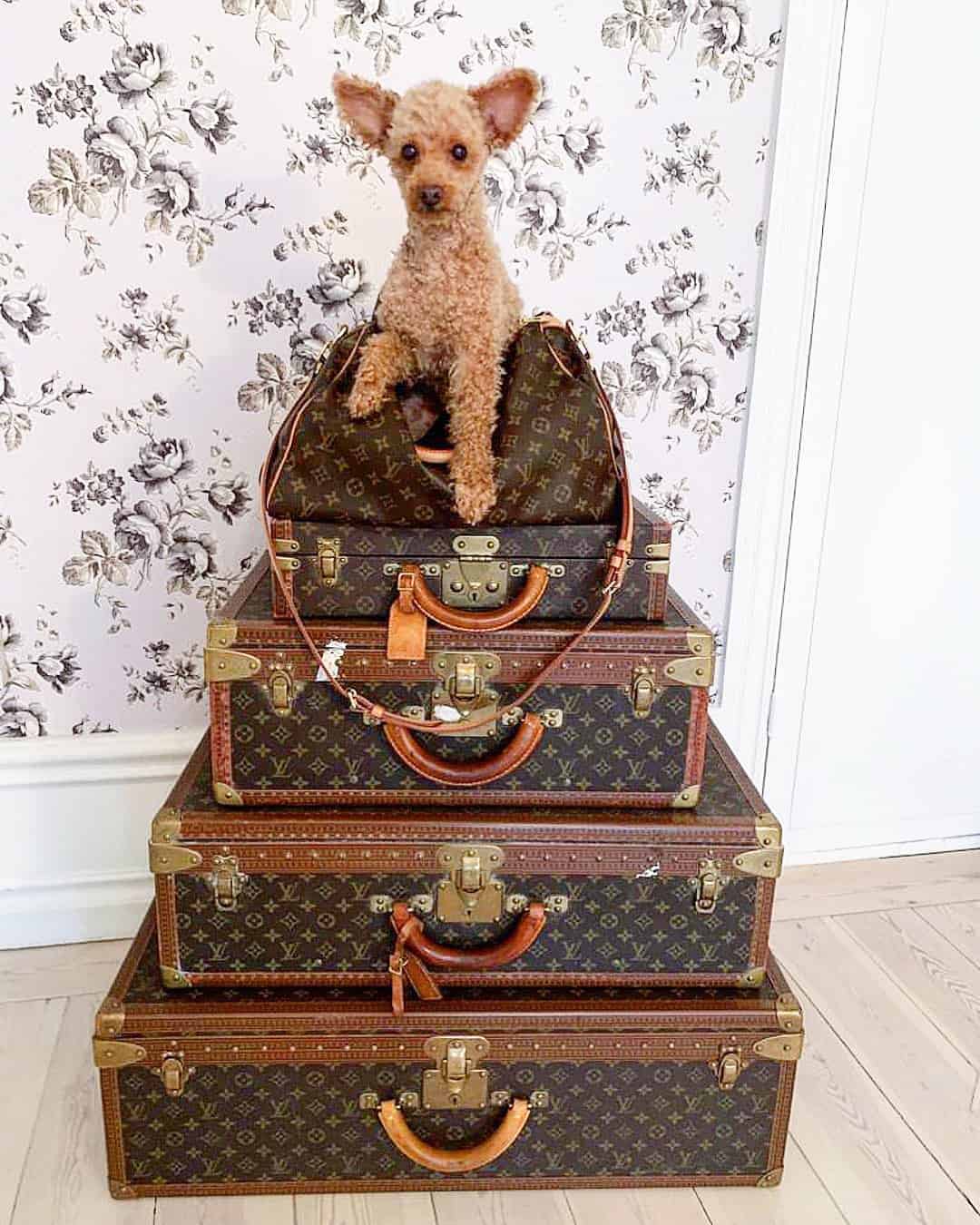 Louis Vuitton trunks stacked