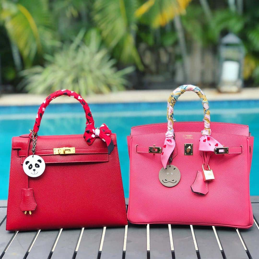 Hermes Kelly and Hermes Birkin Bag