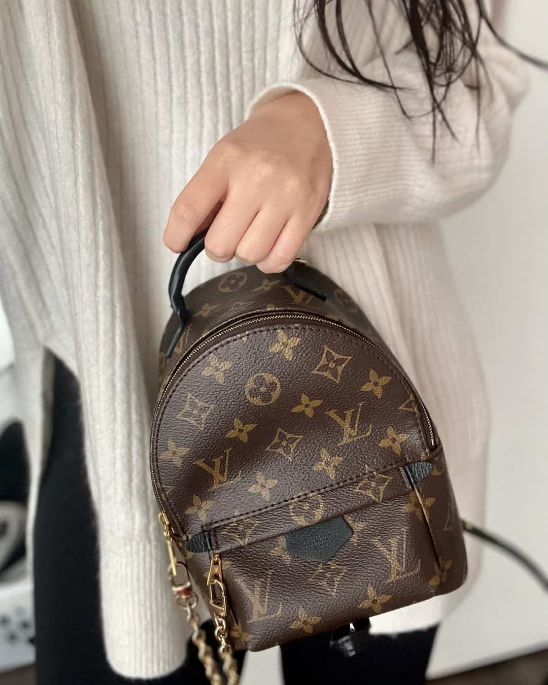 Designer LV Backpack