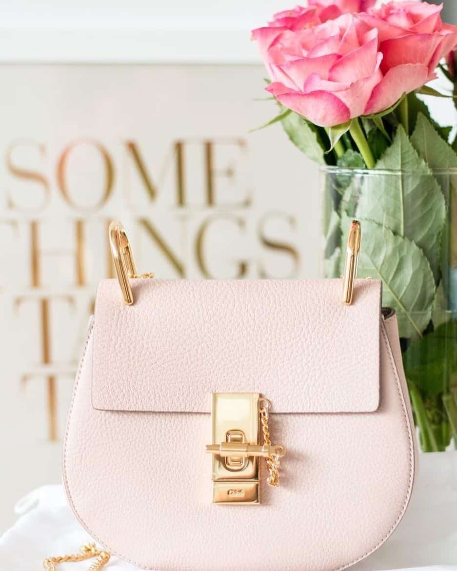 Chloe Drew Bag in Light Pink
