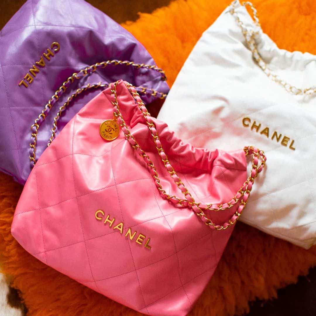 Different Chanel 22 dimensions and sizes