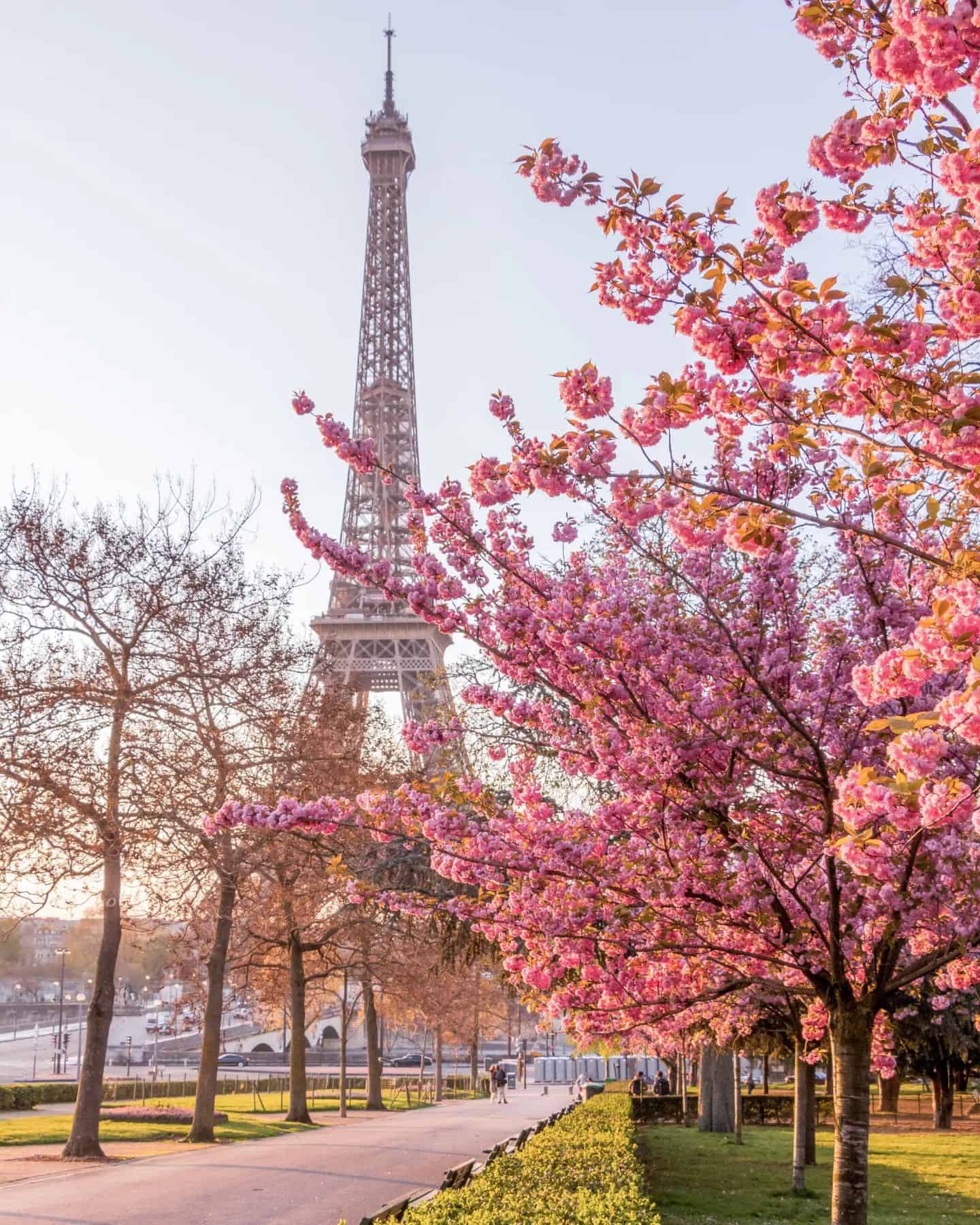 Ways to save money in Paris