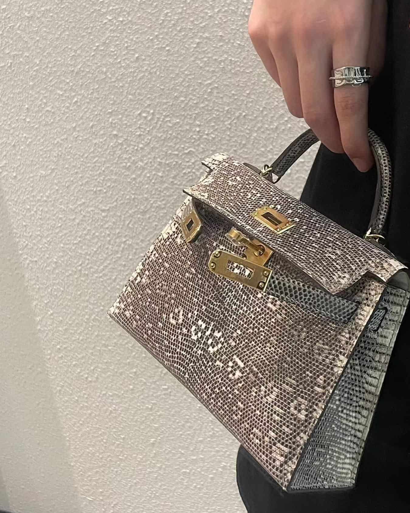 Exotic Hermes Kelly bag