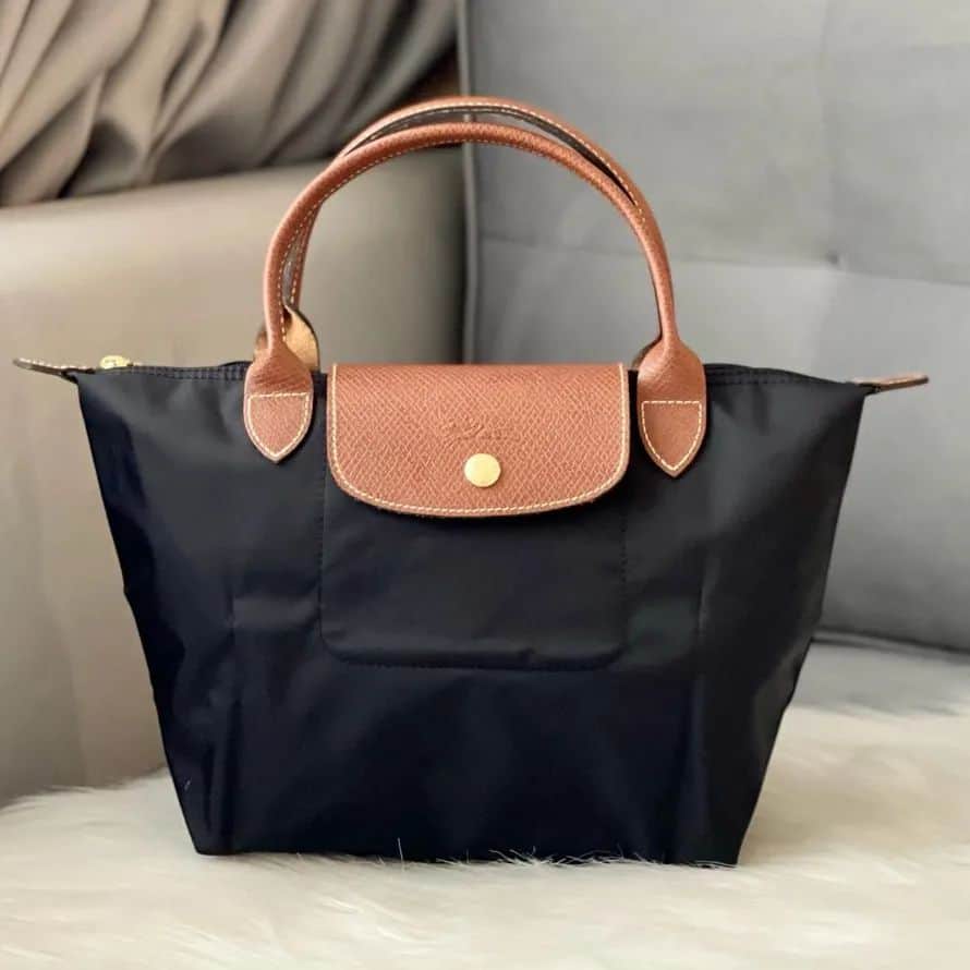 Longchamp le pliage bag