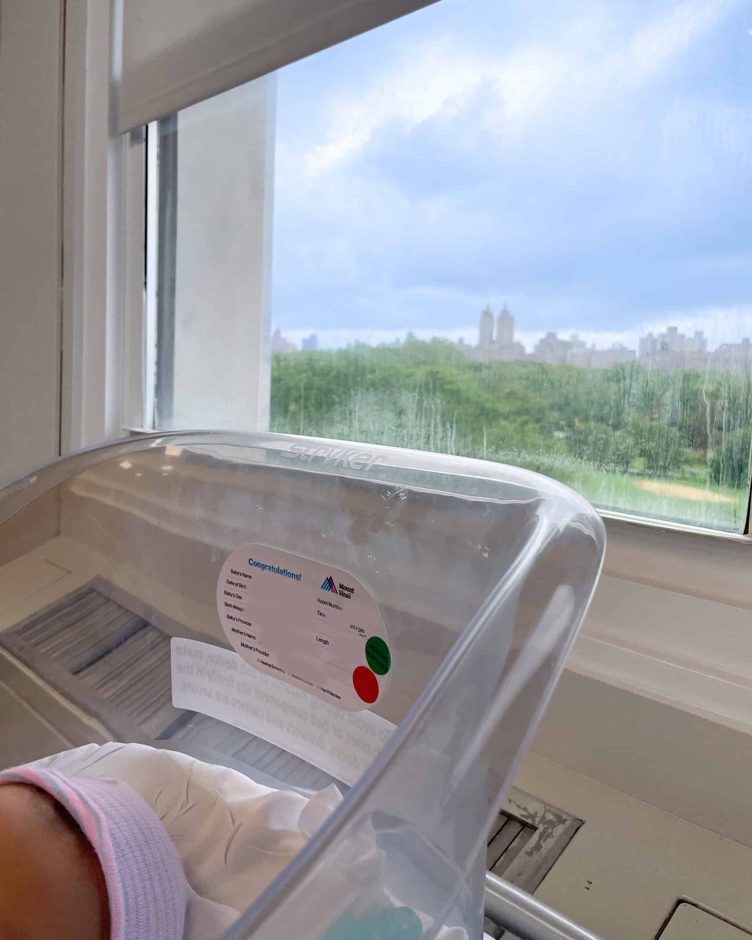 Is Mt Sinai East in NYC a good place to have a baby