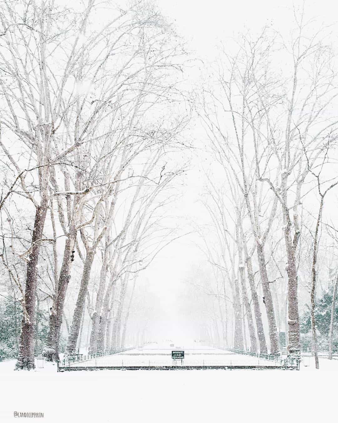Parks of Paris in the snow