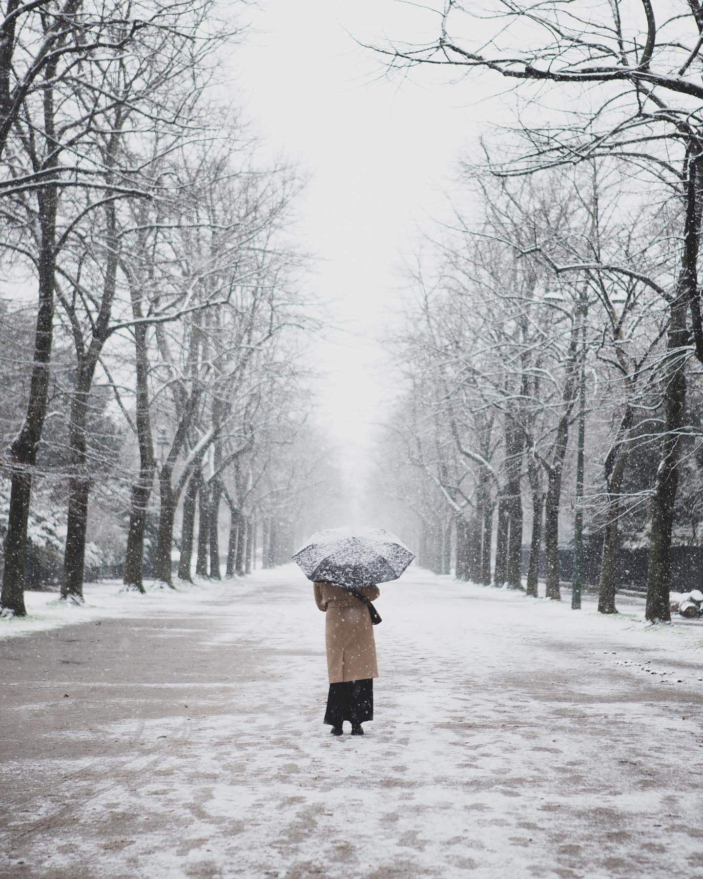 Walking in Paris after it snows