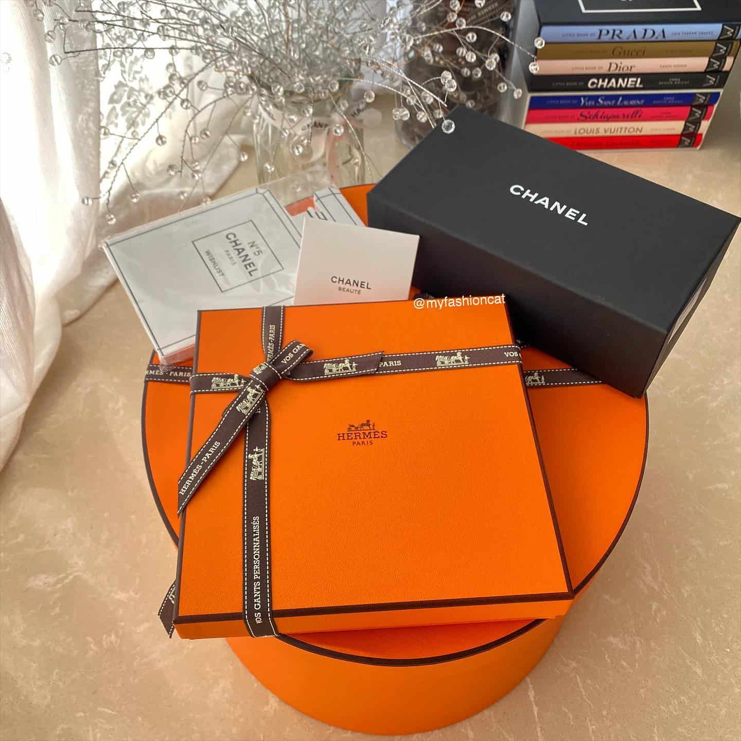 Chanel vs Hermes, Which bag should you buy first? | Petite in Paris
